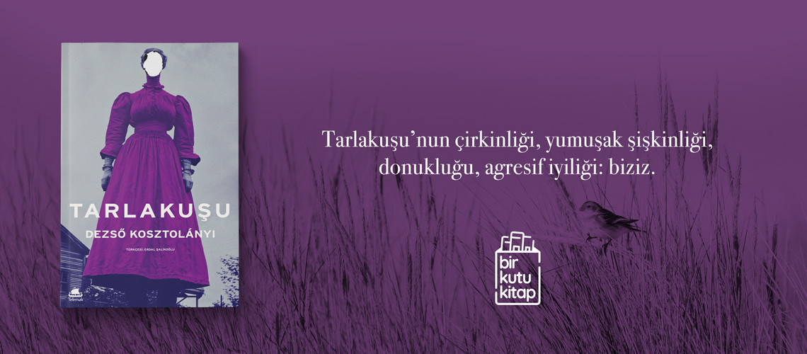 Tarlakuşu